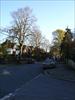 Thumbnail of Photo Number 164