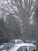 Thumbnail of Photo Number 185
