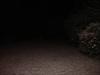 Thumbnail of Photo Number 188