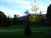Thumbnail of Photo Number 210