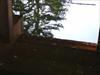 Thumbnail of Photo Number 215