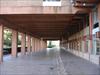 Thumbnail of Photo Number 217