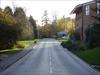 Thumbnail of Photo Number 221