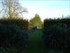 Thumbnail of Photo Number 250