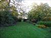 Thumbnail of Photo Number 251