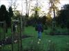 Thumbnail of Photo Number 256