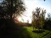 Thumbnail of Photo Number 263