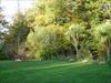 Thumbnail of Photo Number 270