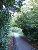 Thumbnail of Photo Number 274