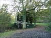 Thumbnail of Photo Number 278