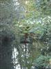 Thumbnail of Photo Number 282