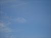 Thumbnail of Photo Number 302