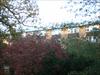 Thumbnail of Photo Number 308