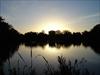 Thumbnail of Photo Number 309