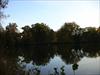 Thumbnail of Photo Number 311