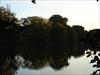 Thumbnail of Photo Number 313