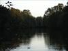 Thumbnail of Photo Number 315