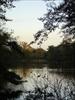 Thumbnail of Photo Number 320