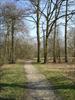 Thumbnail of Photo Number 346