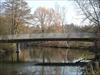 Thumbnail of Photo Number 351