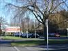 Thumbnail of Photo Number 372