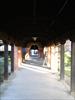 Thumbnail of Photo Number 414