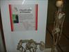 Thumbnail of Photo Number 456