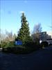 Thumbnail of Photo Number 511