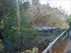 Thumbnail of Photo Number 520