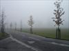 Thumbnail of Photo Number 540