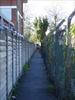 Thumbnail of Photo Number 550