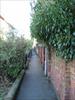 Thumbnail of Photo Number 593