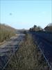 Thumbnail of Photo Number 625
