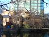 Thumbnail of Photo Number 673