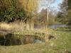 Thumbnail of Photo Number 711