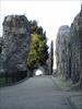 Thumbnail of Photo Number 758