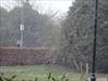 Thumbnail of Photo Number 802